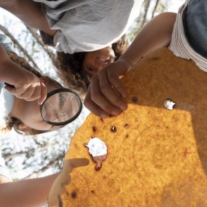 El Gran Robo (portátil) Para Niños y adolescentes.